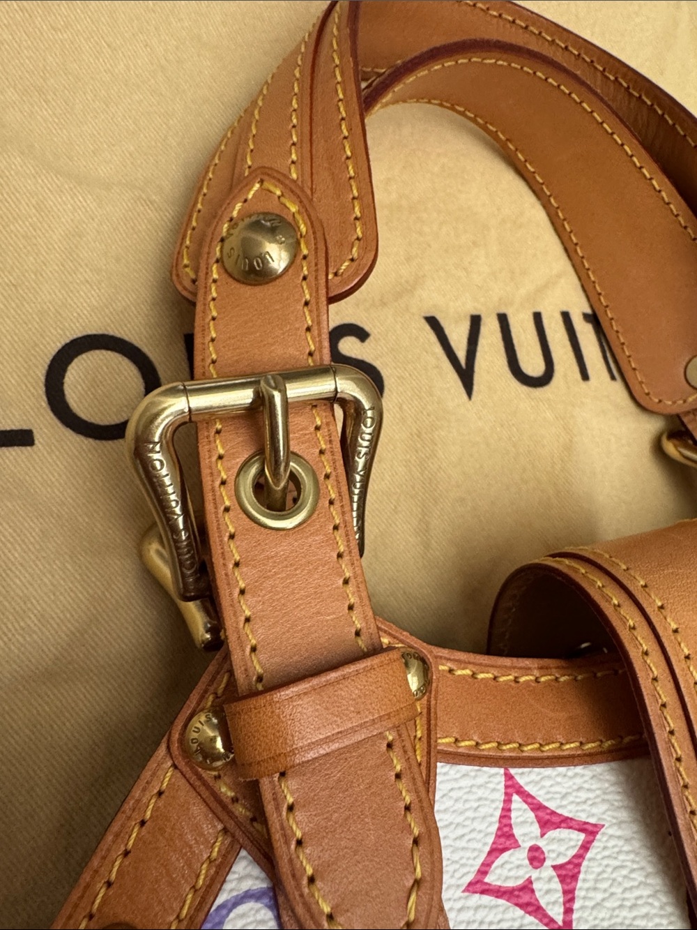 Takashi Murakami X Louis Vuitton White Monogram Multicolore Canvas Theda PM - Picture 9 of 16